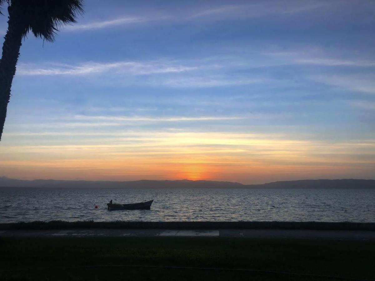 Atoq Paracas Reserva Ngoại thất bức ảnh