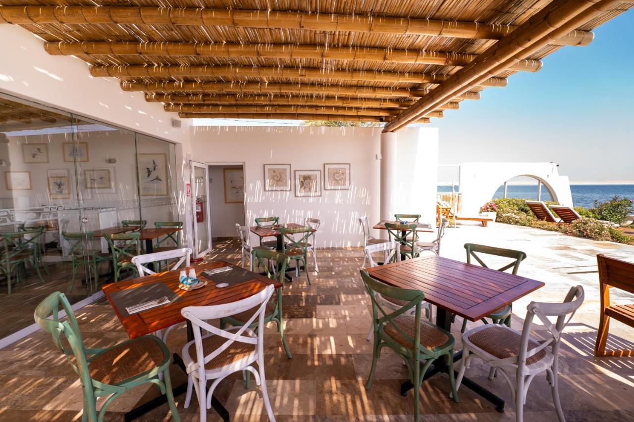 Atoq Paracas Reserva Ngoại thất bức ảnh